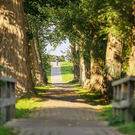 Apartamento Backboard - Haustierfreundliche Mit Nordbalkon Fuer Bis Zu 3 Personen Wustrow (Fischland)